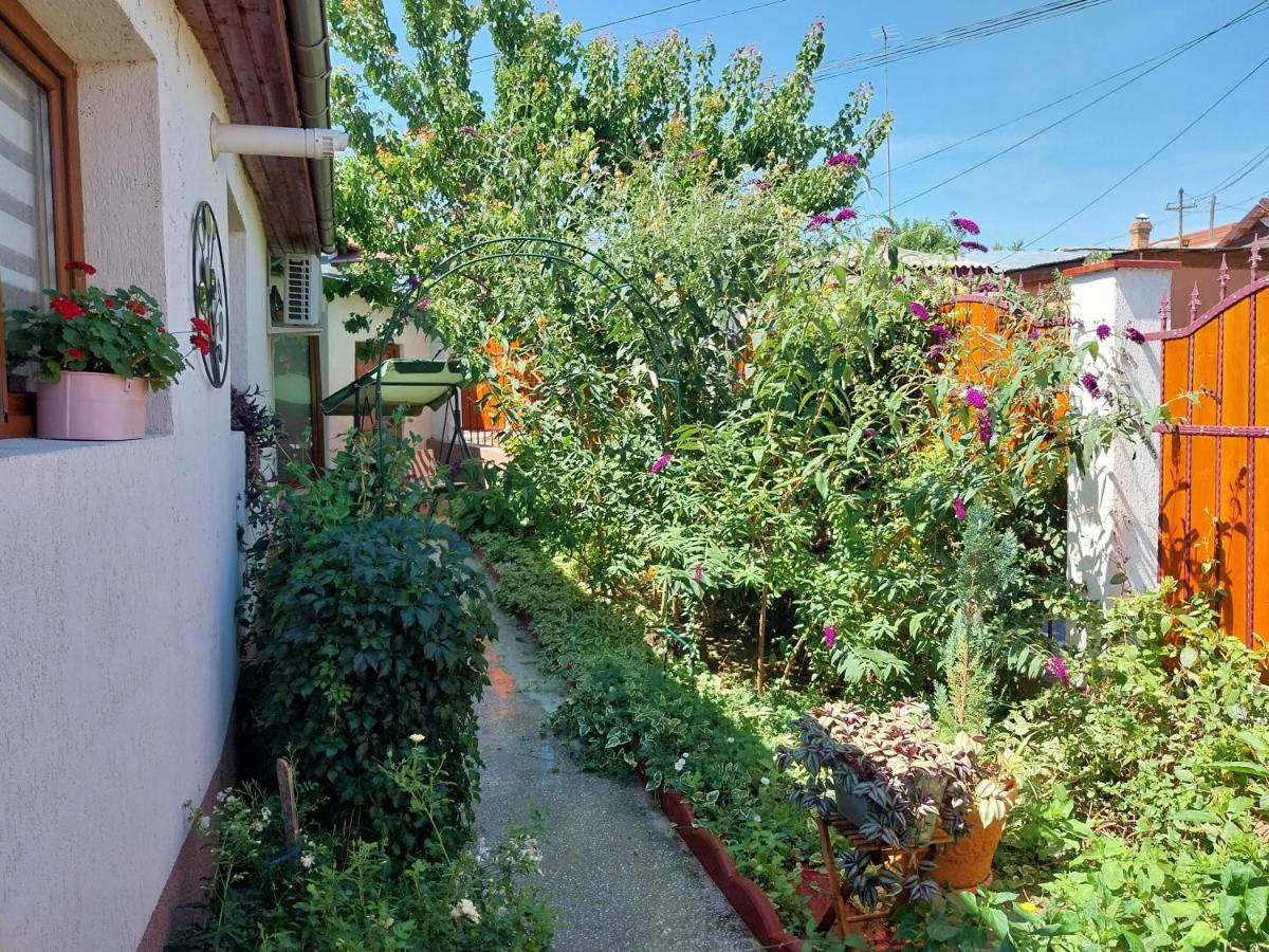 Villa Casa Calin Tulcea Exterior foto